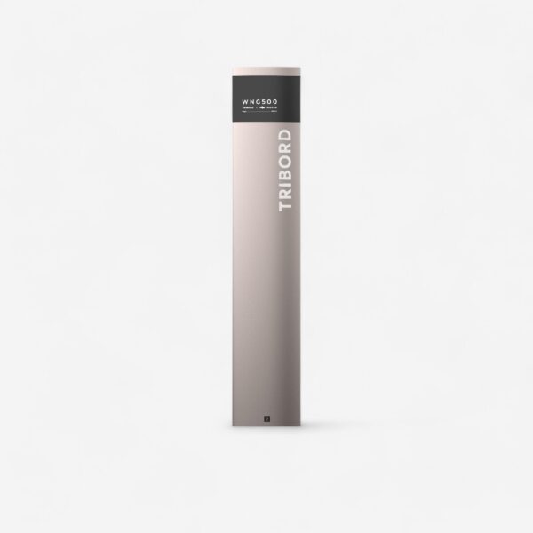 Foil mast